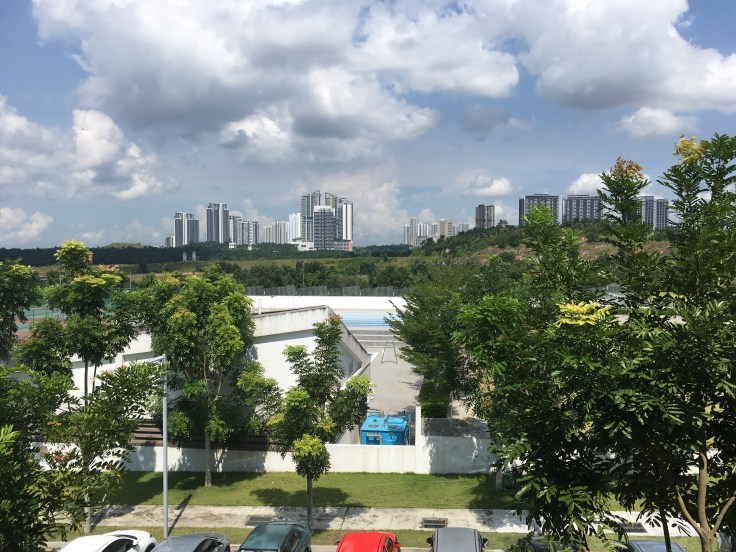 The view from our school